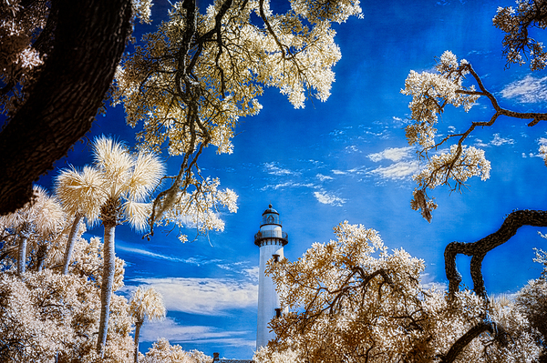 Whispers of Light: Saint Simons Lighthouse Enchantment Print