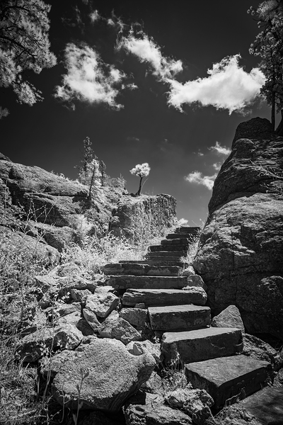 Stairway to Tranquility: Sylvan Lake Print