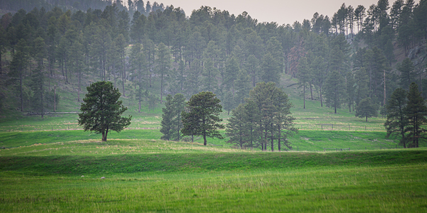 Serene Countryside Dreams Print