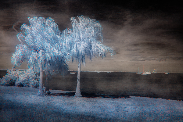 Surreal Waterscape Print