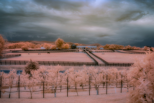 Surreal Ranchscape Print