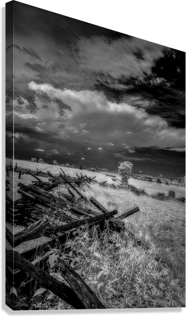 The Balance of Natures Chaos Canvas Print