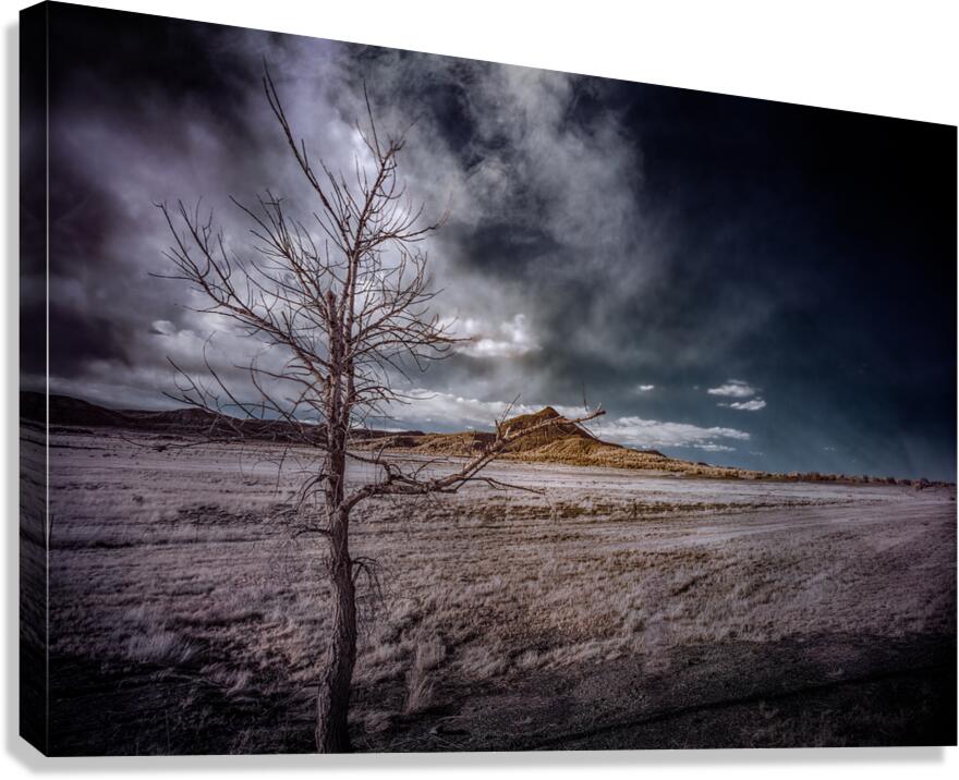 Realm of the Unknown: Lone Tree Mount Canvas Print