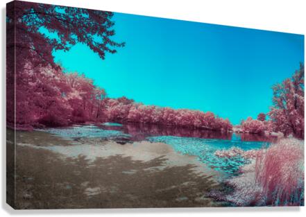 Delaware Dreaming: Ruby Pond Canvas Print