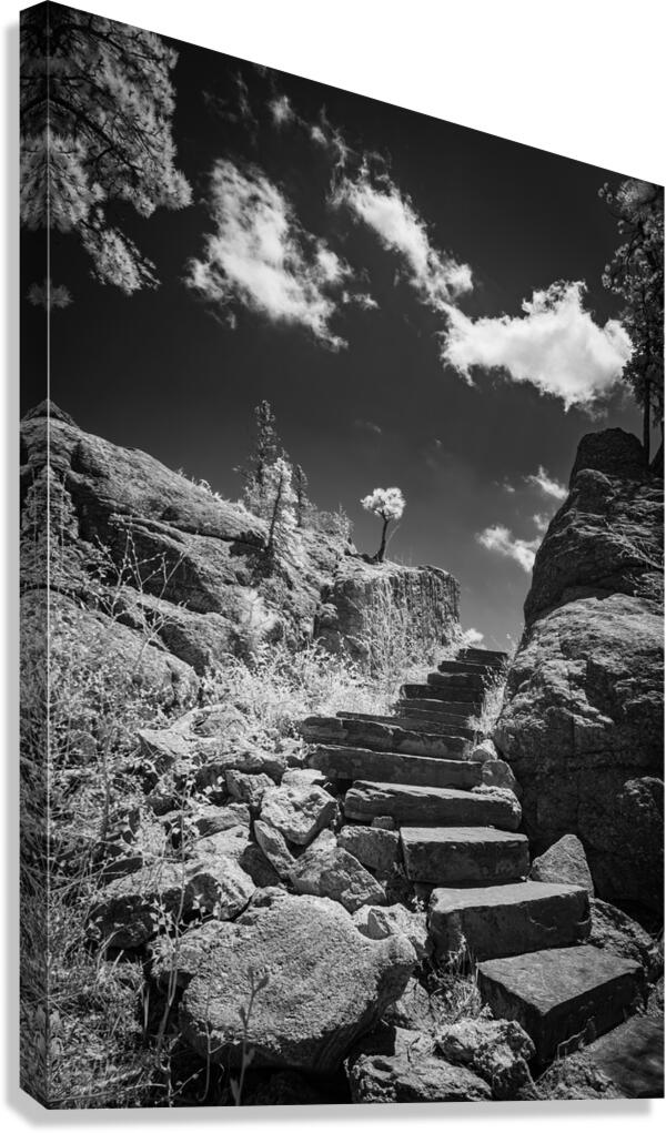 Stairway to Tranquility: Sylvan Lake Canvas Print
