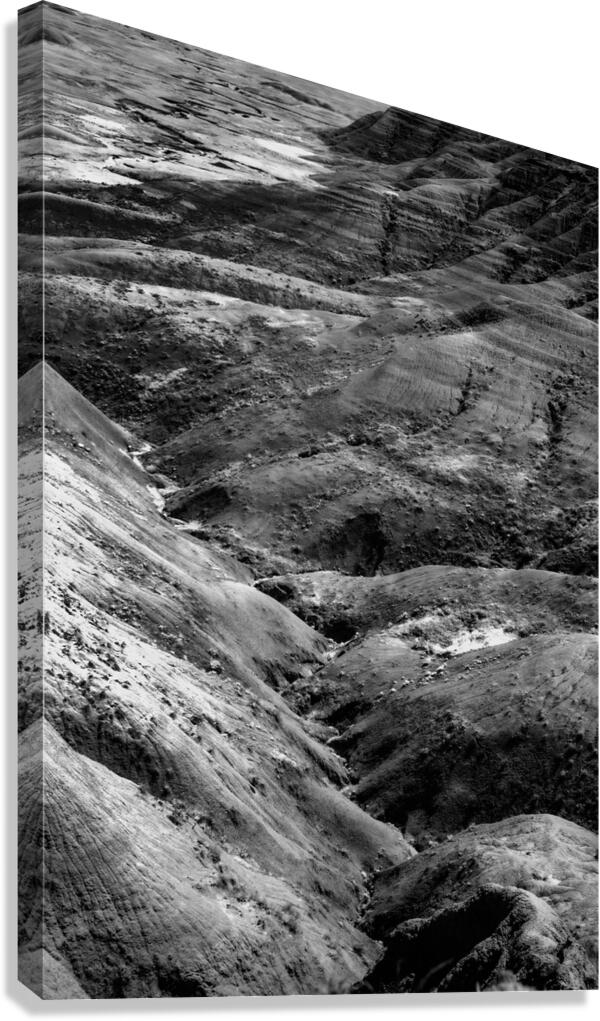Shadows of the Earth: Eroded Beauty in the Badlands Canvas Print