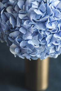 9840 Hydrangea Blue