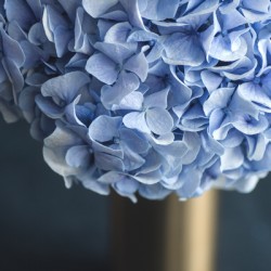 9840 Hydrangea Blue