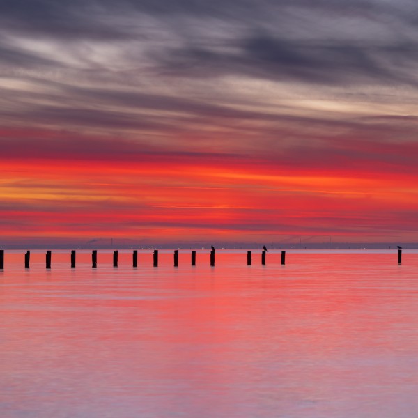 Pink Sunset over Water by Grant Cookson