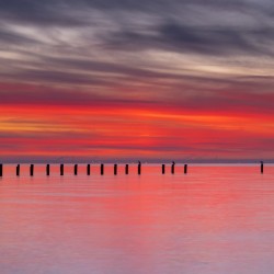 Pink Sunset over Water