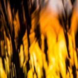 Abstract image featuring orange light and shadows 2