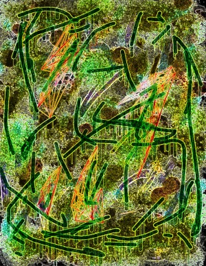 frame