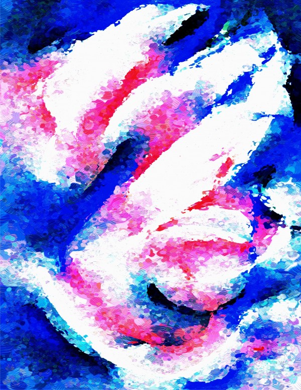 Caborse Print
