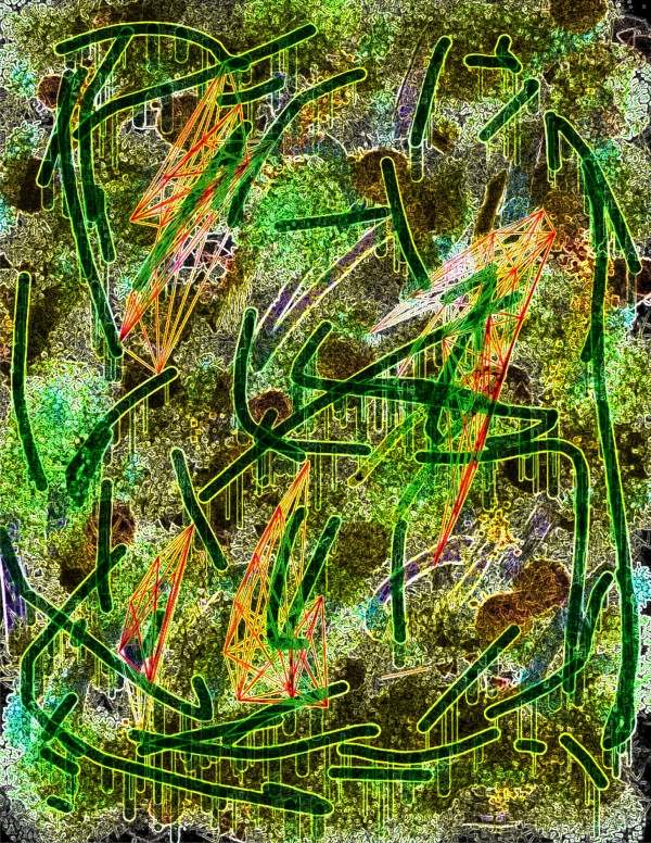 frame Print