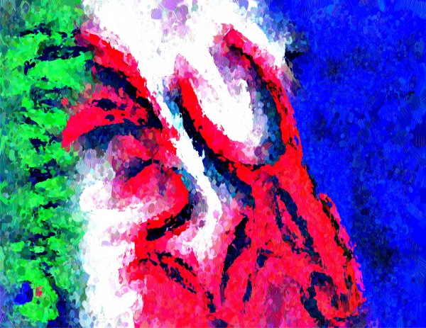 tocow Print