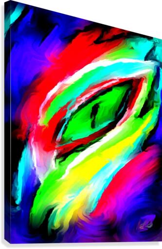 eyee Canvas Print