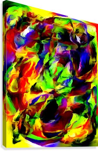 frogo Canvas Print