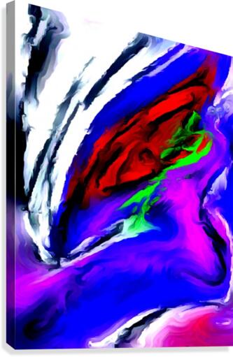 stomeye Canvas Print