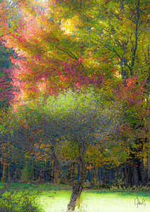 L arbre de vie