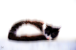 La siesta