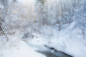 Splendeur hivernale 