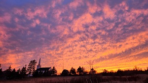 Tomorrow Will be Beautiful