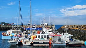 Visitors at the Dock