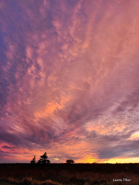 A Sight to Behold Print