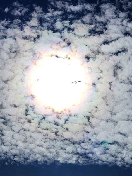 Change is on the Way Print