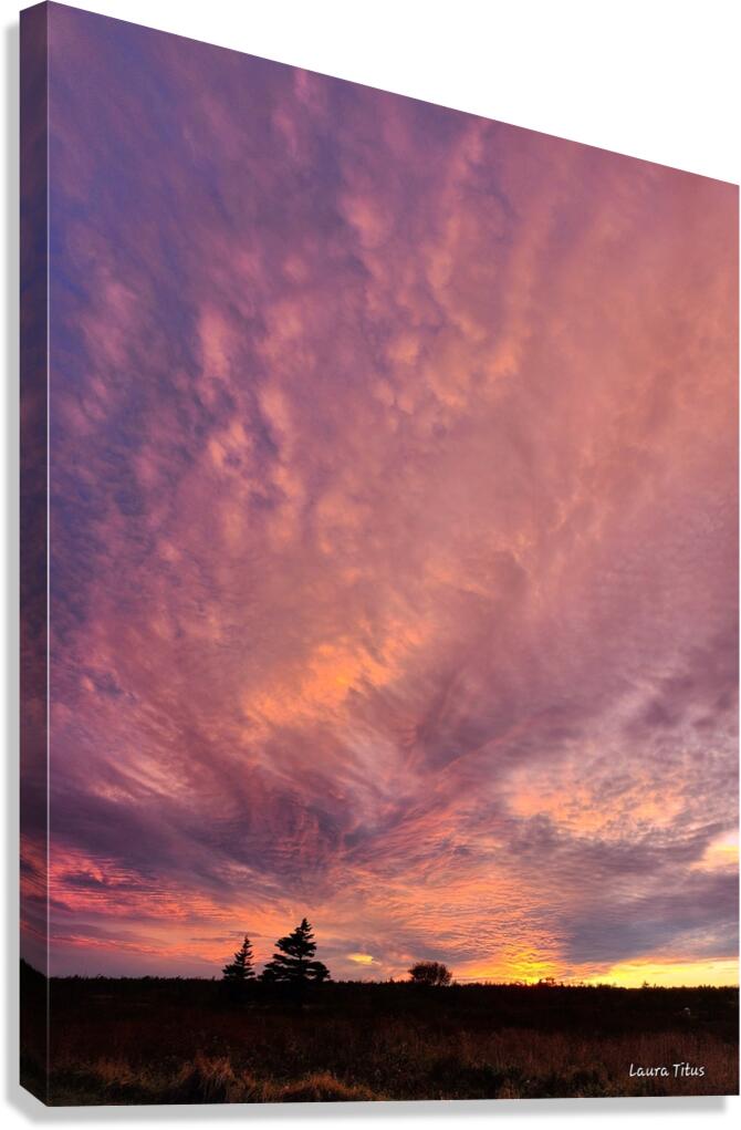 A Sight to Behold Canvas Print