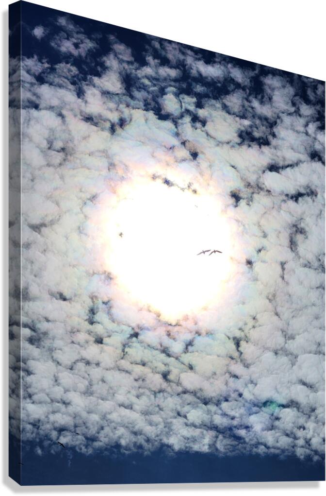 Change is on the Way Canvas Print