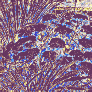 Twilight Garden