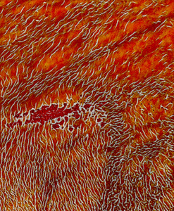Fire Underfoot