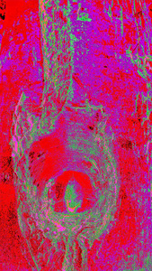 Emergence