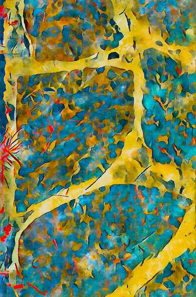 Wet Path Print