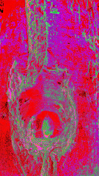 Emergence Print