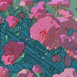 Flowers Deconstructed