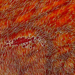 Fire Underfoot