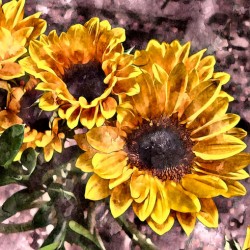 Cheerful Mourning