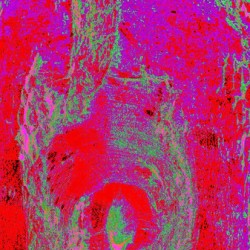 Emergence