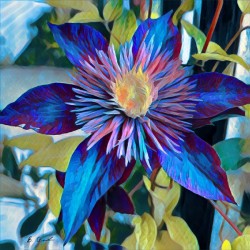 Flower pop