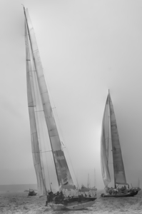 Tall Sails and Busy Waters