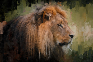 The Lion The King