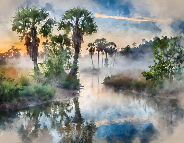 Bayou Sunrise Reflections Print