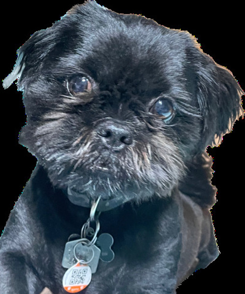 Ash Without Background Print