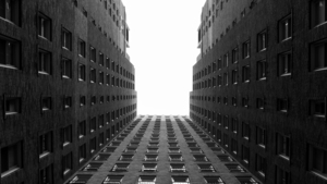 Looking Up