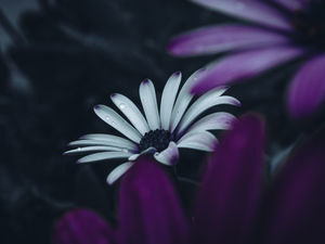 Standing Out