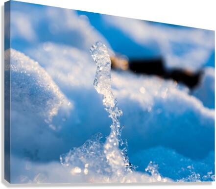 The Stick Canvas Print