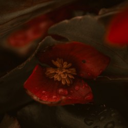 Deep Hue