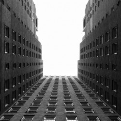 Looking Up